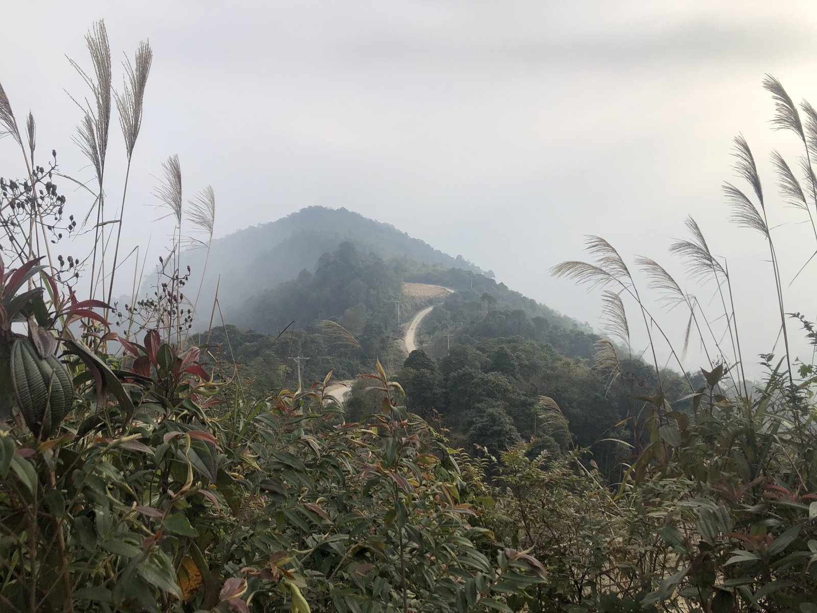 7-Day Hoang Su Phi Bike Trip: Terraced Rice Fields & Ethnic Village Immersion